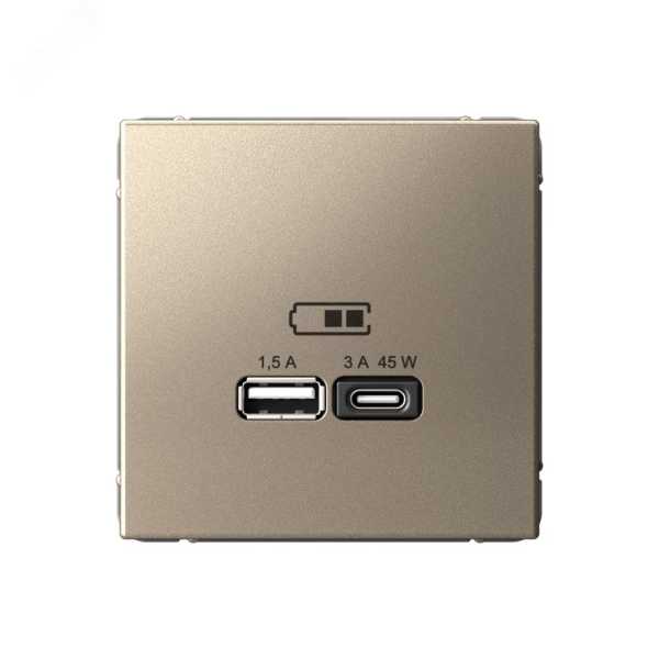 ARTGALLERY USB розетка A + тип-C 45Вт высокоскор.заряд. QC, PD, механизм, шампань GAL000529