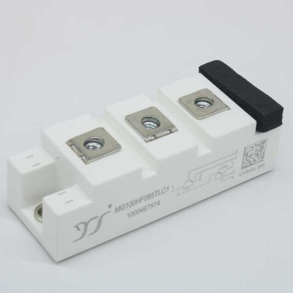 MG100HF065TLC1