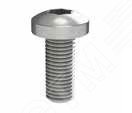 Винт М5х12 под шлиц Torx, 100 шт. R5M512