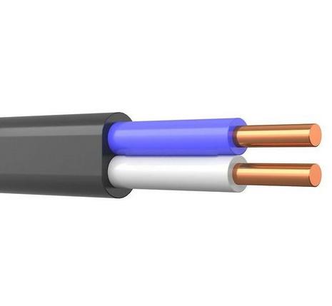 Кабель ВВГ-Пнг(А) 2х4 ОК (N) 0.66кВ (м) ТХМ00214373