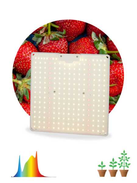 Квантум борд FITO-80W-LED-QB Quantum board фитопрожектор полного спектра 80 Вт 3500К Б0053285