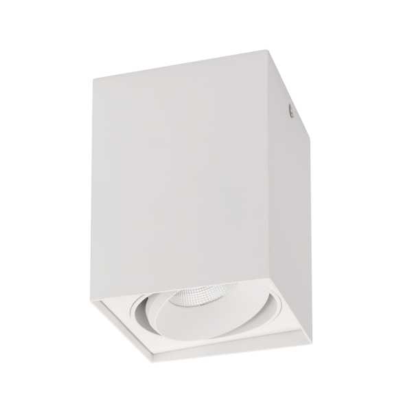 Светильник SP-CUBUS-S100x100WH-11W Day White 40deg 023078(1)