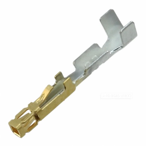 CC81R-2426-01-L