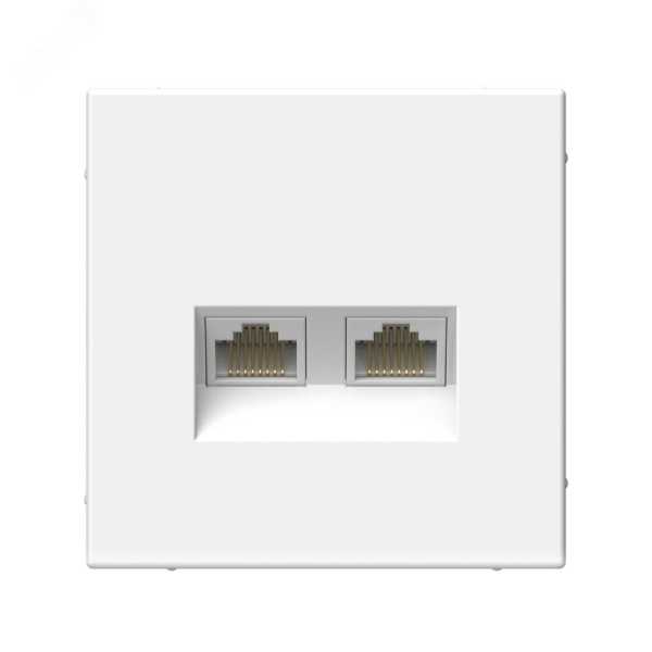 ARTGALLERY розетка двойная компьютерная RJ45+RJ45, кат.6А, механизм, белый GAL000188